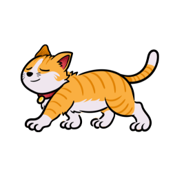 gato