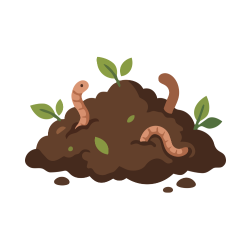 tierra